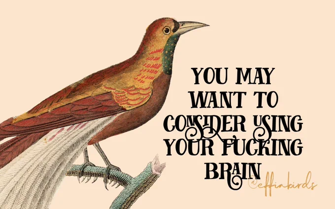 A painting of a bird beside the text "you may want to consider using your fucking brain"