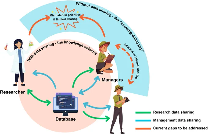 An infographic illustrating data sharing networks between researchers and managers. The image is divided into two sections:

Inner pink circle labeled "With data sharing - the knowledge network" shows:

A researcher figure in lab coat holding test tubes

A computer database icon

Two manager figures in field uniforms with clipboard and binoculars

Connecting arrows in green (Research data sharing) and blue (Management data sharing)

Outer blue arc labeled "Without data sharing - the 'knowing-doing gap'" shows:

Orange arrows pointing to a burst icon labeled "Mismatch in priorities & limited sharing"

Dashed orange arrow indicating "Informal or internal sharing"

Legend at bottom right shows three arrow types:

Green: Research data sharing

Blue: Management data sharing

Orange: Current gaps to be addressed

All characters are illustrated in a simple, cartoon style. Text is in clear black font.