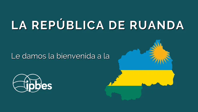 Gráfico con fondo verde azulado oscuro que muestra "LA REPÚBLICA DE RWANDA" en letras blancas grandes en la parte superior. Debajo, el texto "Bienvenida a" y el logo blanco de IPBES a la izquierda. A la derecha, un mapa contorneado de Ruanda relleno con los colores de su bandera: azul en la parte superior con un símbolo de sol amarillo en la esquina superior derecha, amarillo en el centro y verde en la parte inferior. El diseño utiliza un estilo limpio y minimalista con fuerte contraste entre los elementos y el fondo.​

