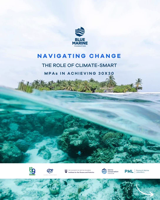 This report has been co-authored by Maddie Millington-Drake, Sophie Locke and Sofía R. of Blue Marine Foundation, and PML's Prof. Ana Queirós. 
Contributing authors include PML’s Professor Matthew Frost and Dr Claire Szostek, and PML Honorary Fellow Torsten Thiele of the Global Ocean Trust. 
#MPAs #MarineConservation