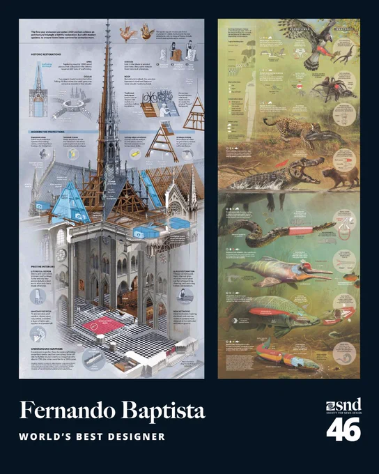 Two detailed infographics by Fernando Baptista. The left shows a cutaway illustration of Notre-Dame Cathedral’s restoration with labeled components and historical notes. The right features a lush wildlife scene with animals such as a jaguar and crocodile, explaining evolutionary adaptations.