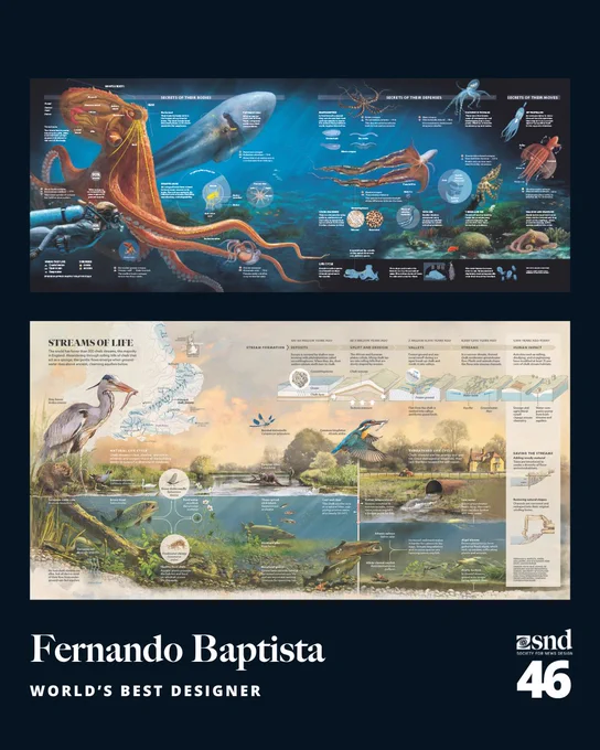 Two panoramic infographics. The top showcases marine creatures like octopuses and squid with notes on anatomy and defense mechanisms. The bottom depicts a stream ecosystem, illustrating aquatic life and environmental processes above and below the waterline.