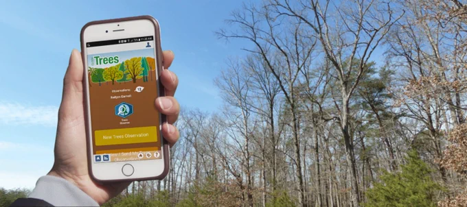 A hand holds a mobile phone displaying the GLOBE Trees app up to a bank of leafless trees in the distance