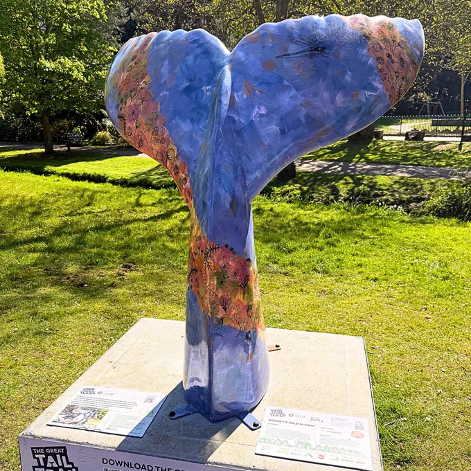 Great Tail Trail, Bournemouth Initiative, Julia's House Children's Hospice, Venaspace Offices