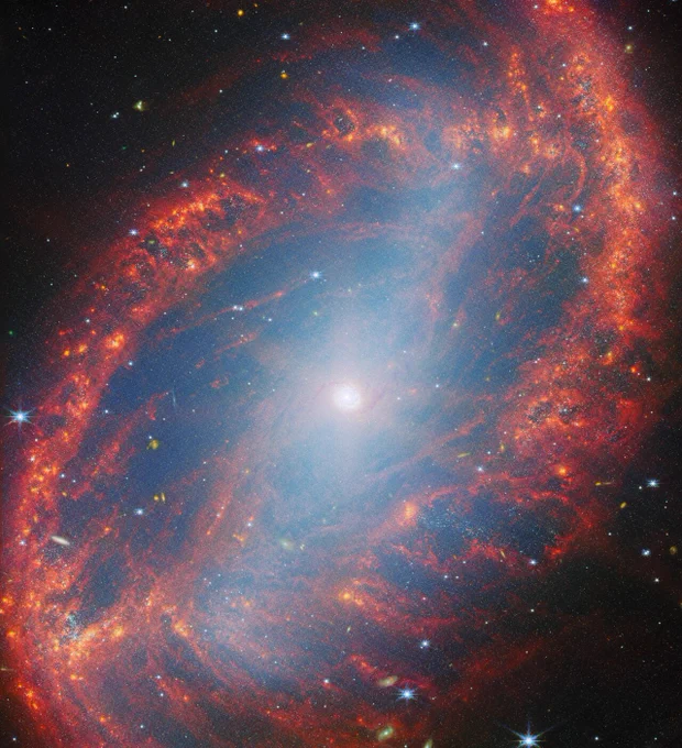 Close-up, frame-filling view of the oval-shaped, spiral galaxy, NGC 2566, captured by the NASA/ESA/CSA James Webb Space Telescope. This galaxy is located in the constellation Puppis. Its core is a compact, pale spot that glows brightly, filling the disc with bluish light. Faint strands of pale reddish dust swirl out from the core to the far sides of the disc. They each join up with an arm of thick, cloudy, red dust with brighter orange patches that follows the edge of the disc around to the opposite end and a little off the galaxy.
