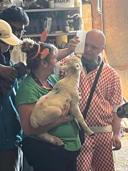 A young man in a white and red check tracksuit bottle feeds a lamb that is being held by a lady wearing a green tshirt and black trousers. 