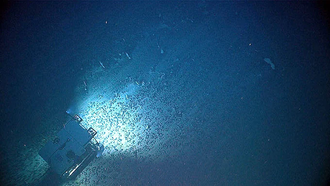 A remotely operated underwater vehicle shines a light on an extensive field of ferromanganese nodules on the hard seafloor identified during Dive 17 of the 2021 North Atlantic Stepping Stones expedition. Credit: NOAA Ocean Exploration, 2021 North Atlantic Stepping Stones: New England and Corner Rise Seamounts.
