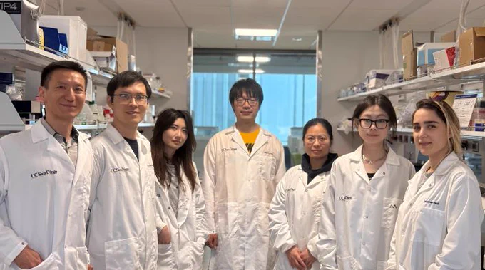 The study co-authors (from left to right) Sheng Zhong, Junchen Chen, Wenxin Zhao, Ming Xu, Shuanghong Xue, Zhixuan Song and Fatemeh Hadi 
