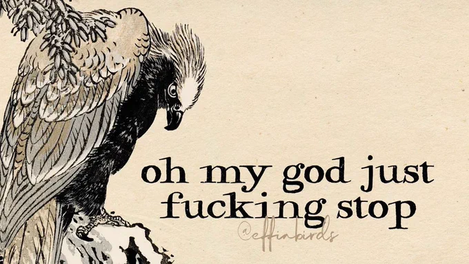 A painting of a bird next to the words "oh my god just fucking stop"
