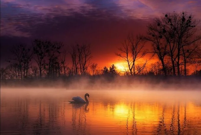 Image by Juan Sanchez from Pinterest
