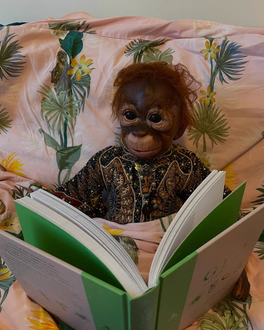 Baby monkey prop sits reading a book in bed. Image provided by TinyCrewBigRaffle and Prop provided by Megan Vertelle