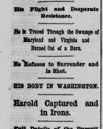 Newspaper