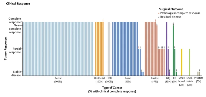 A figure showing the clinical response for each patient according to tumor type. Hepatobiliary (HPB) cancers consist of periampullary cancer and cholangiocarcinoma.