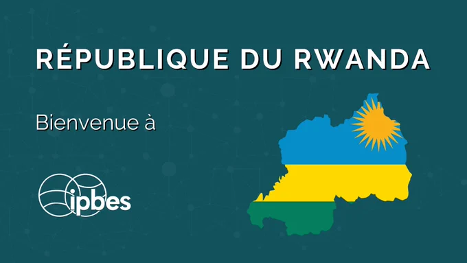 Une image sur fond vert foncé avec un motif géométrique subtil. Le titre "RÉPUBLIQUE DU RWANDA" apparaît en haut en grands caractères blancs, suivi de "Bienvenue à" en dessous. À gauche, le logo IPBES est affiché en blanc. À droite, la silhouette du Rwanda est représentée aux couleurs de son drapeau national : une bande bleue en haut avec un soleil jaune rayonnant dans le coin supérieur droit, une bande jaune au milieu, et une bande verte en bas.

