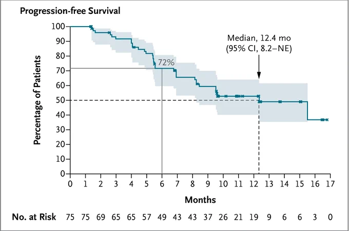 A graph showing the progression-free survival among patients in cohort 1 treated with zongertinib at a dose of 120 mg
