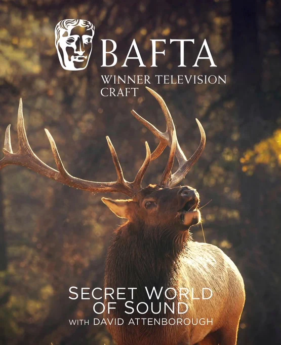 Photo of a male elk. Text reads BAFTa winner television craft. Secret World of Sound with David Attenborough.