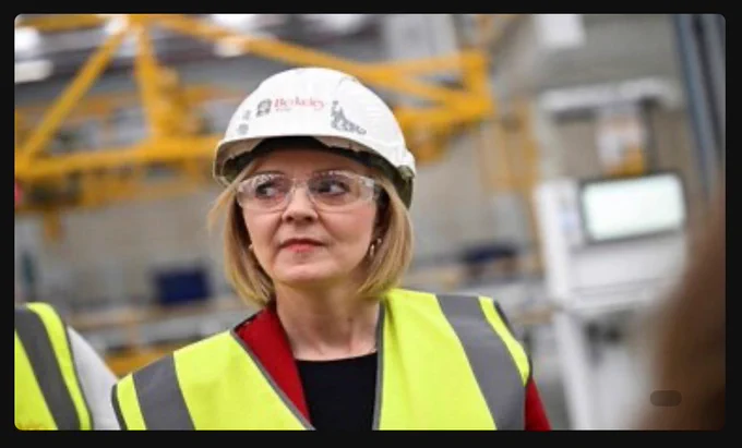 Picture of Liz Truss in a hard hat looking worried