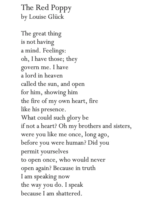 The Red Poppy
by Louise Glück

The great thing
is not having 
a mind. Feelings:
oh, I have those; they 
govern me. I have 
a lord in heaven 
called the sun, and open 
for him, showing him
the fire of my own heart, fire 
like his presence.
What could such glory be
if not a heart? Oh my brothers and sisters, 
were you like me once, long ago, 
before you were human? Did you 
permit yourselves
to open once, who would never 
open again? Because in truth 
I am speaking now 
the way you do. I speak 
because I am shattered.