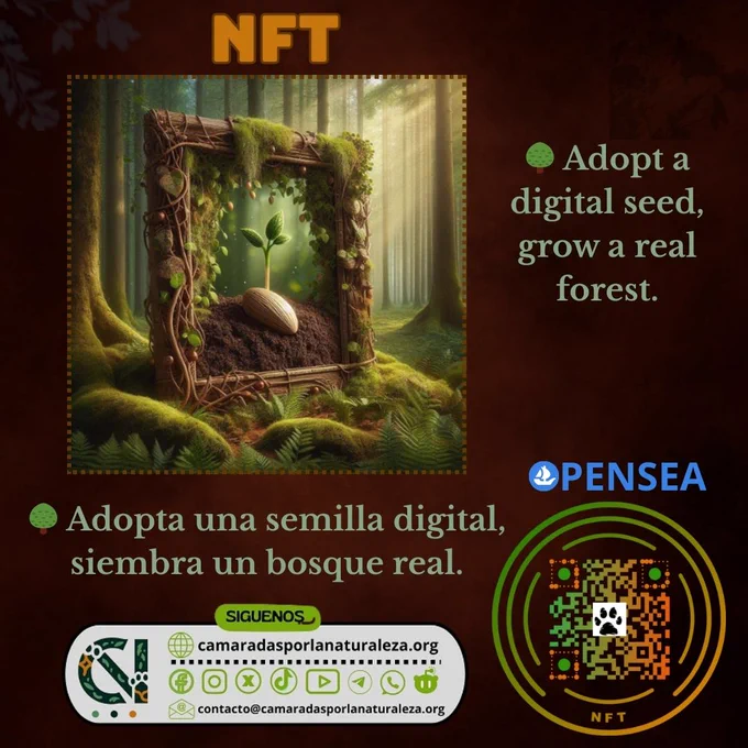 @nft
¿Cómo puedes apoyar?
✅ Compra un NFT y siembra esperanza.
✅ Dona si quieres contribuir aún más.
✅ Comparte esta campaña con tu comunidad para hacer crecer este bosque virtual y real.

Cada NFT es una semilla de cambio.
Juntos, podemos regenerar el planeta.

🌿 Adquiere tu Semilla del Futuro ahora y haz historia verde