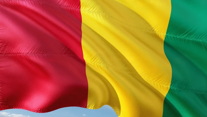 The flag of Guinea, three vertical bands, the first red, the second yellow, the third green.