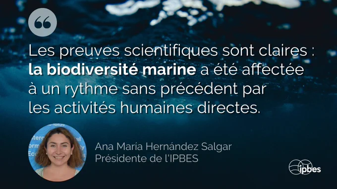 Une citation sur un fond d'eau bleu foncé qui indique : "Les preuves scientifiques sont claires : la biodiversité marine a été affectée à un rythme sans précédent par les activités humaines directes."

La citation est attribuée à Ana María Hernández Salgar, Présidente de l'IPBES (Plateforme intergouvernementale scientifique et politique sur la biodiversité et les services écosystémiques), dont la photo apparaît en bas à gauche. Le logo de l'IPBES est visible en bas à droite de l'image.

La mise en page inclut des guillemets gris en haut à gauche et le texte est présenté en blanc sur le fond aquatique sombre, créant un contraste visuel fort.

