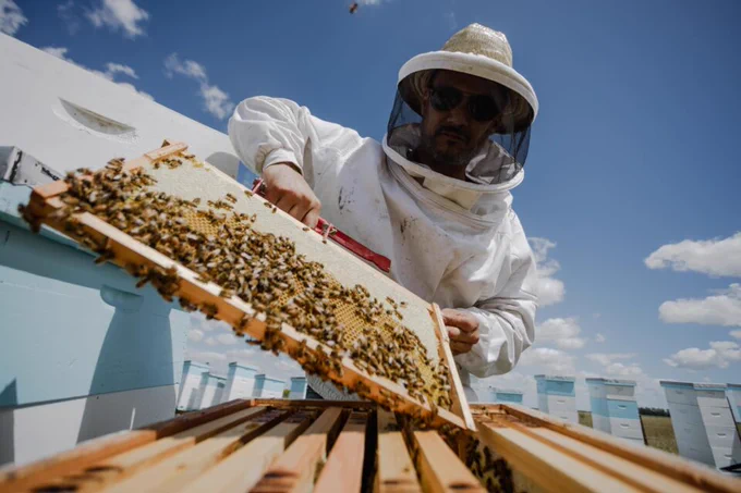 💯El Ministerio de Desarrollo Agrario bonaerense oficiará como organizador en representación de la provincia, el encuentro reunirá a apicultores, científicos y empresarios de toda la región.