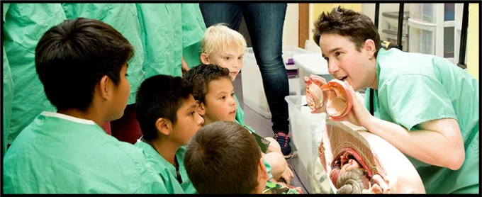 Photo of veterinarian showing animal organ models to young students