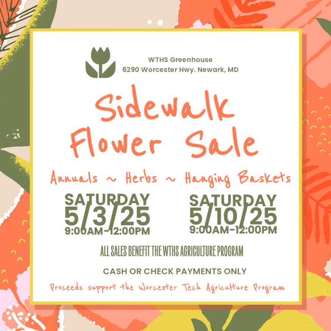 WTHS Greenhouse Sidewalk Sale 2025