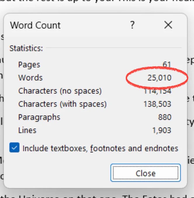 Word Count Screenshot featuring 61 pages, 25,010 words, 114,154 characters without spaces, 138,503 characters with spaces, 880 paragraphs, and 1,903 lines.
