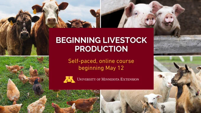 A collage of farm animals including cows, pigs, chickens, and goats with details about the course.