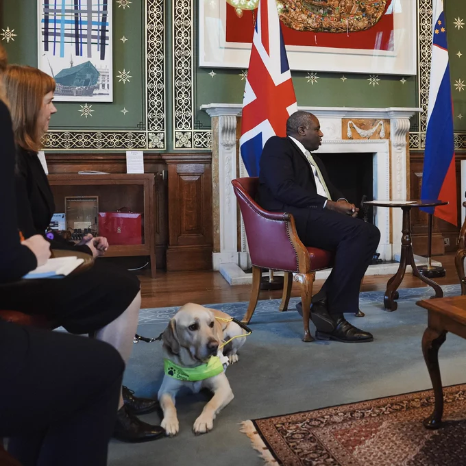 Otto lying next to the Ambassador’s feet inside the office of Foreign Secretary David Lammy. There’s an opulent-looking rug, chestnut furniture and green wall with gold decorations. Ambassador is sitting at the edge of the frame, David Lammy is sitting in the middle of the room facing Slovenian Foreign Minister (out of the frame).