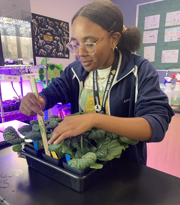 A student participating in the Growing Beyond Earth Citizen Science project, carefully measuring and observing plants in small pots. The plants appear to be leafy greens, and the student is holding a ruler to measure their growth. The lab has bright lighting, and scientific equipment is visible in the background. The student is wearing glasses, a shirt with an abstract design, and a lanyard with a badge. This project helps NASA research how to grow plants in space. Image credit: Growing Beyond Earth. 