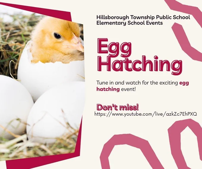 Egg Hatching Flyer
