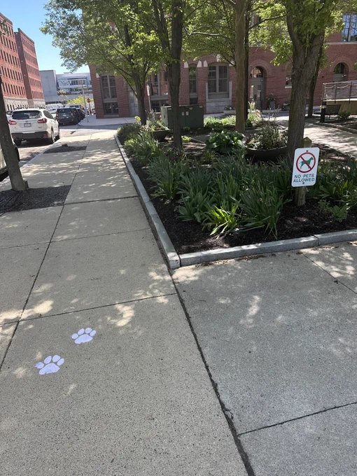Ember's purple pawprints outside the Boston Expo hall at PAX East.