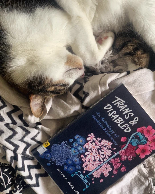 A tabby and white cat curled up asleep on top of a monochrome blanket, with a navy book resting on it. The book is Trans & Disabled: An Anthology of Identities & Experiences edited by Alex Iantaffi. It features an illustration of noise cancelling headphones hanging from a cane, decorated with flowers ranging from blue to pink.