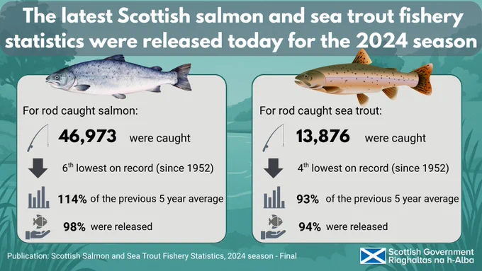 The latest Scottish salmon and sea trout fishery statistics were released for the 2024 season.

For rod caught salmon:
46,973 were caught
The 6th Lowest on record since 1952
114% of the previous 5 year average
98% were released

For rod caught sea trout:

13,876 were caught
4th lowest on record (since 1952)
93% of the previous 5 year average
94% were released

Publication: Scottish Salmon and Sea Trout Fishery Statistics, 2024 Season - Final
Scottish Government