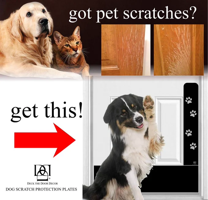 How to fix dog scratches on door