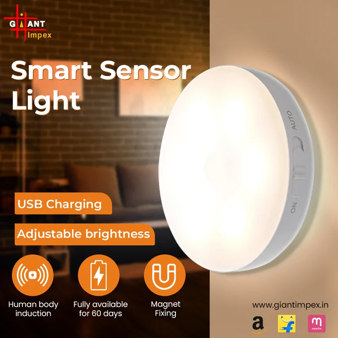 Rechargable motion sensor light