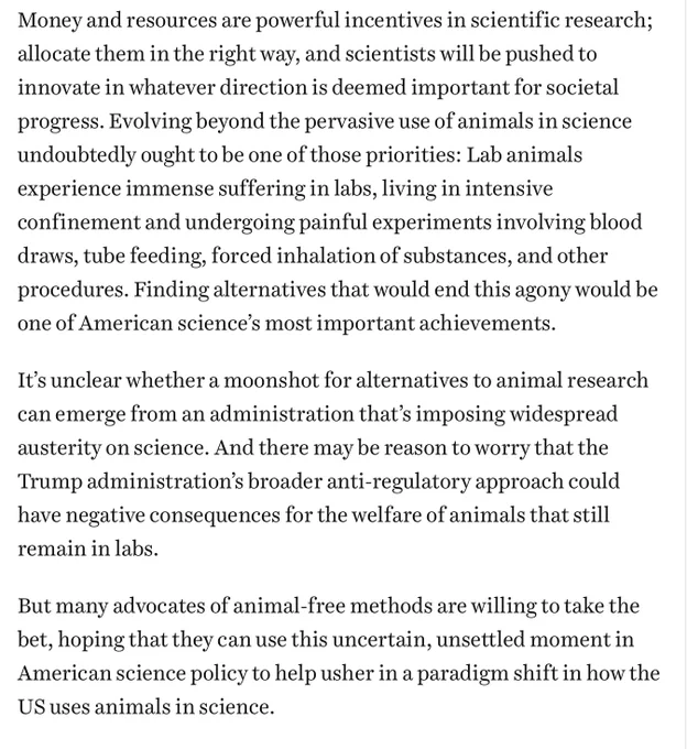 screenshotted text: "Money and resources are powerful incentives in scientific research; allocate them in the right way, and scientists will be pushed to innovate in whatever direction is deemed important for societal progress. Evolving beyond the pervasive use of animals in science undoubtedly ought to be one of those priorities: Lab animals experience immense suffering in labs, living in intensive confinement and undergoing painful experiments involving blood draws, tube feeding, forced inhalation of substances, and other procedures. Finding alternatives that would end this agony would be one of American science’s most important achievements.

It’s unclear whether a moonshot for alternatives to animal research can emerge from an administration that’s imposing widespread austerity on science. And there may be reason to worry that the Trump administration’s broader anti-regulatory approach could have negative consequences for the welfare of animals that still remain in labs."