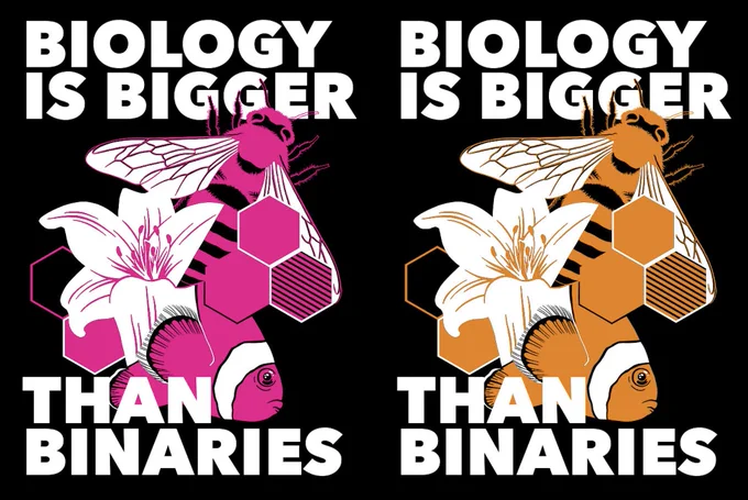 2 versions of the same design, all of which say "Biology is bigger than binaries", with a central image of a bee, a clownfish, and a lily. The one on. the left is pink, the right is orange,