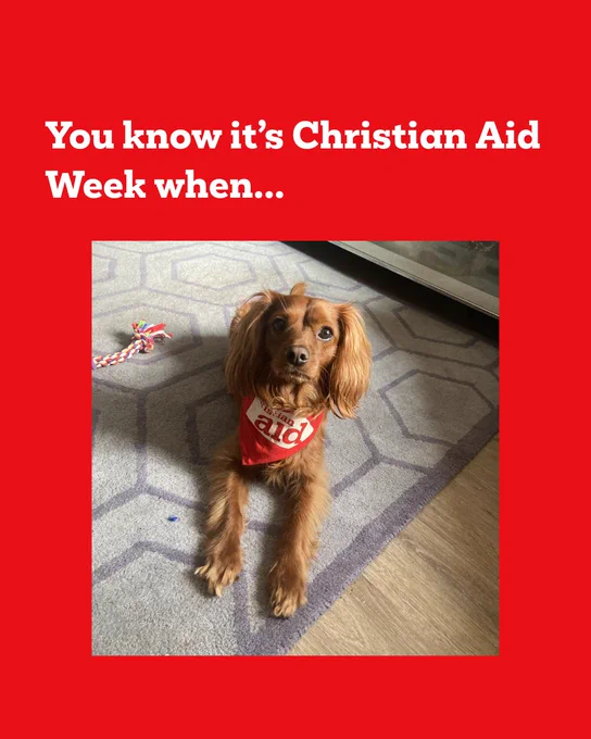 Graphic with the text, You know it's Christian Aid Week when... and an image a dog with a Christian Aid bandana tied around their neck