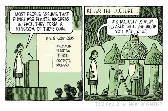 Panel One:
A scientist is giving a lecture. she stands at a lecturn. The current slide shows a list of the five kingdoms of living things: Animalia, Plantae, Fungi, Protista and Monera. She says "Most people assume that fungi are plants. Whereas in fact, they form a kingdom of their own."

Panbel Two:
Caption : After the lecture 
The scientist now appears to be in a subterranean cave, before her stand two very large mushrooms guarding a larger, beardedmushroom who sits in athrone wearing a crown. One of the mushrooms says "His majesty is very pleased with the work you are doing."