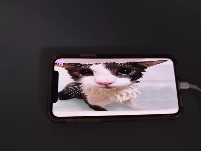 soggy ios
