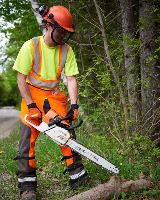  A park staff in a orange helmet and reflective vest uses a chainsaw to cut a tree trunk by the roadside. 