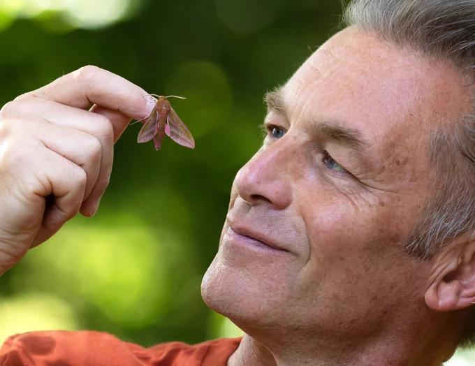 Chris Packham smiling while holding an Elephant Hawk-moth up to his face