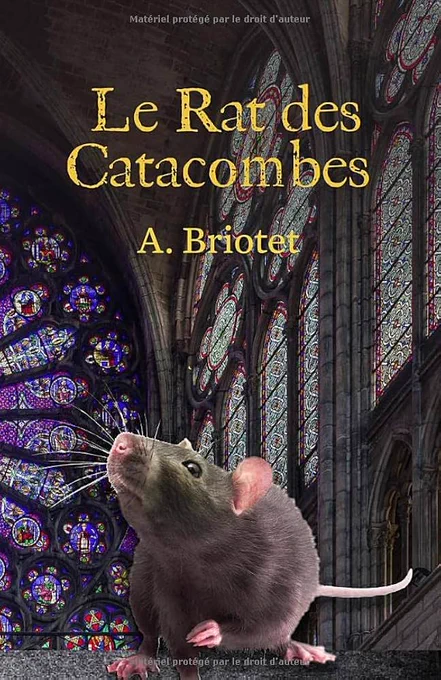 Cover of the book Le Rat des Catacombes by A. Briotet shows a photo of a rat inside a building with a lot of stained glass windows that evokes a French Gothic cathedral.