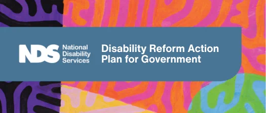 Organic lines of purple and black on left, orange and pink top right, blue and green bottom right, and pink and yellow bottom centre. In the middle, a white NDS logo on blue background with white text reading Disability Reform Action Plan for Government.