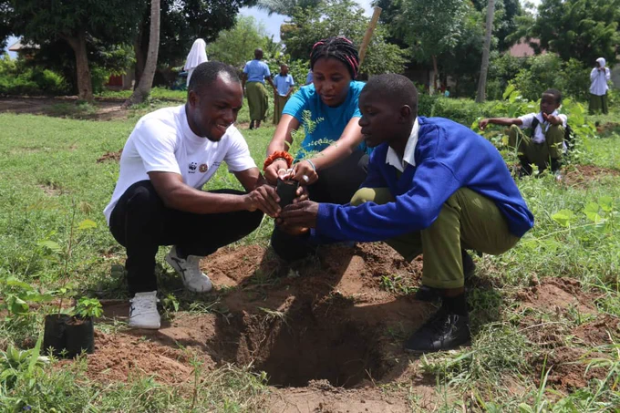 Tree planting activity at School