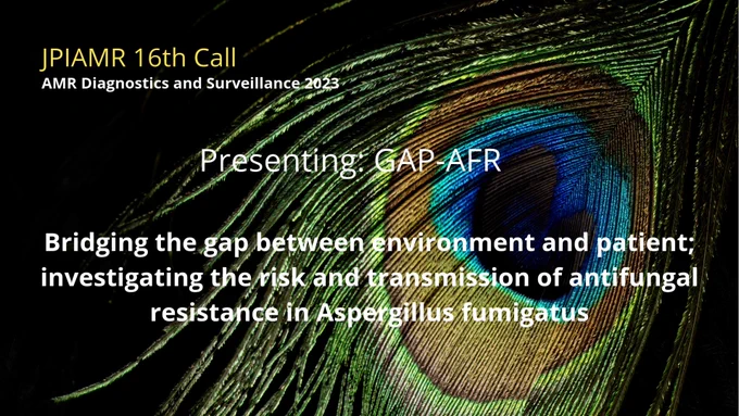 Bridging the gap between environment and patient; investigating the risk and transmission of antifungal resistance in Aspergillus fumigatus
( GAP-AFR )
