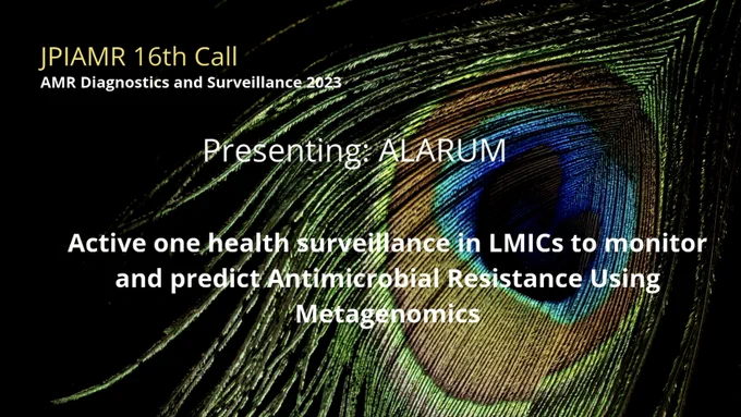 Active one health surveillance in LMICs to monitor and predict Antimicrobial Resistance Using Metagenomics
( ALARUM ) 